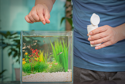 Пресноводные аквариумы